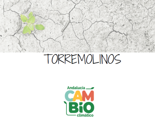Plan Municipal contra el Cambio Climático de Torremolinos