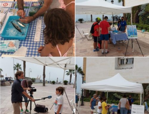 Programa Anual de Educación Ambiental en Rincón de la Victoria (Málaga)