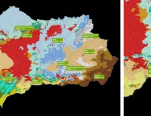 Plan Municipal contra el Cambio Climático de Algarrobo